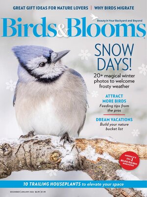 Birds & Blooms - Magazine